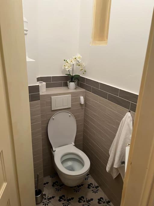 Beautiful Condo At The Old Town براتسيلافا المظهر الخارجي الصورة